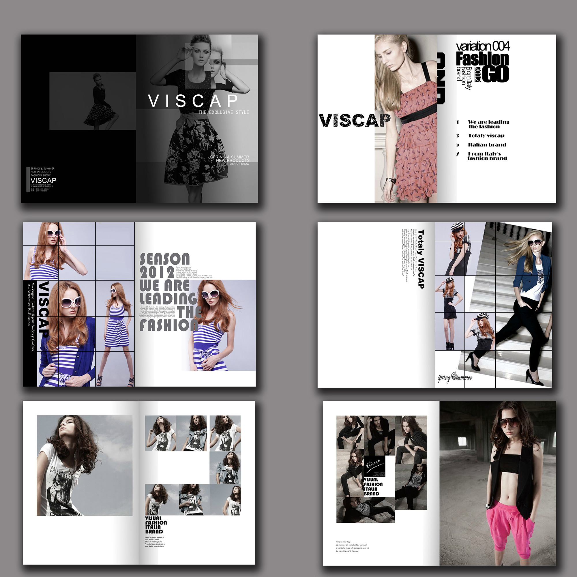 VISCAP.jpg VISCAP.jpg