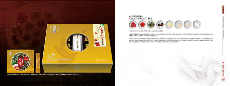 企業(yè)集團公司畫冊設(shè)計案例欣賞