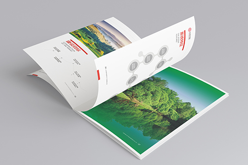 保健類產(chǎn)品宣傳畫冊設(shè)計公司是怎么設(shè)計的