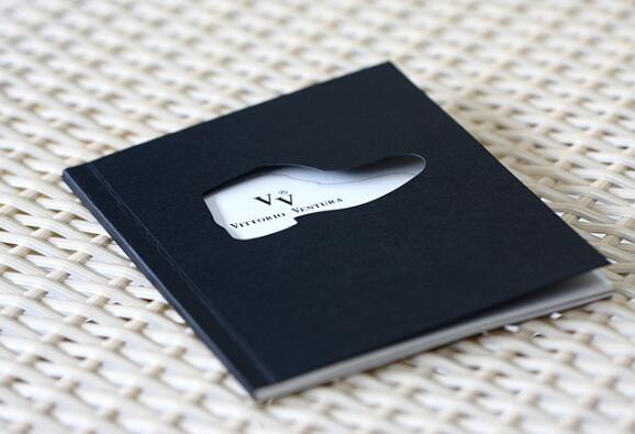 鞋業(yè)行業(yè)畫冊設(shè)計案例欣賞