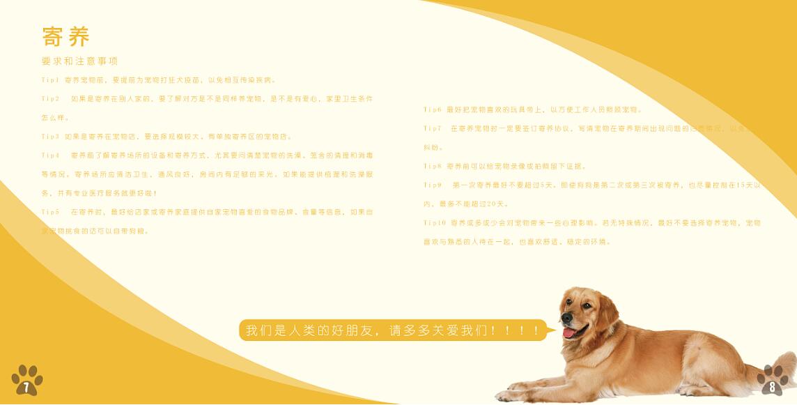 寵物行業(yè)畫(huà)冊(cè)設(shè)計(jì)案例欣賞