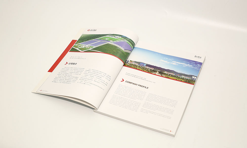 集團(tuán)企業(yè)畫(huà)冊(cè)設(shè)計(jì) 集團(tuán)企業(yè)畫(huà)冊(cè)設(shè)計(jì)