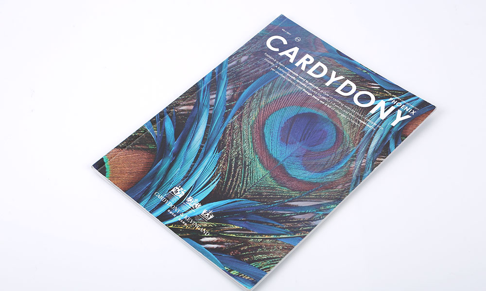 春夏時(shí)尚服裝畫冊設(shè)計(jì)-時(shí)尚服裝宣傳冊設(shè)計(jì)-品牌服裝圖冊設(shè)計(jì)