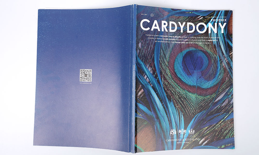 春夏時尚服裝畫冊設(shè)計