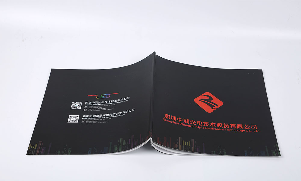 電光科技開發(fā)公司畫冊設計