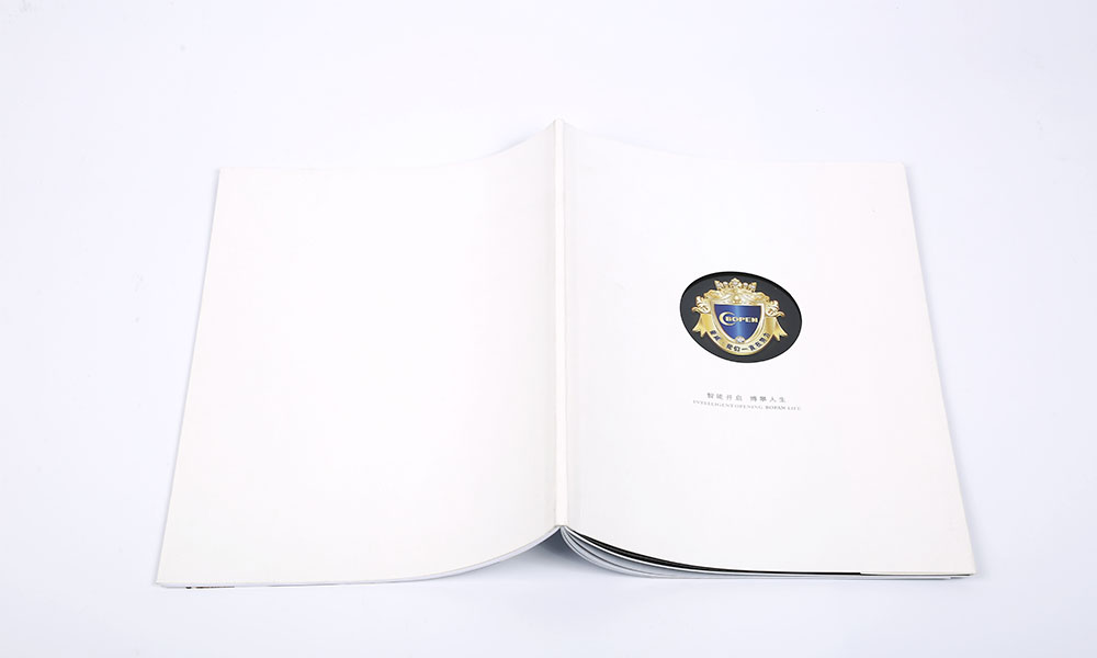 LED彩幕屏畫冊(cè)設(shè)計(jì)