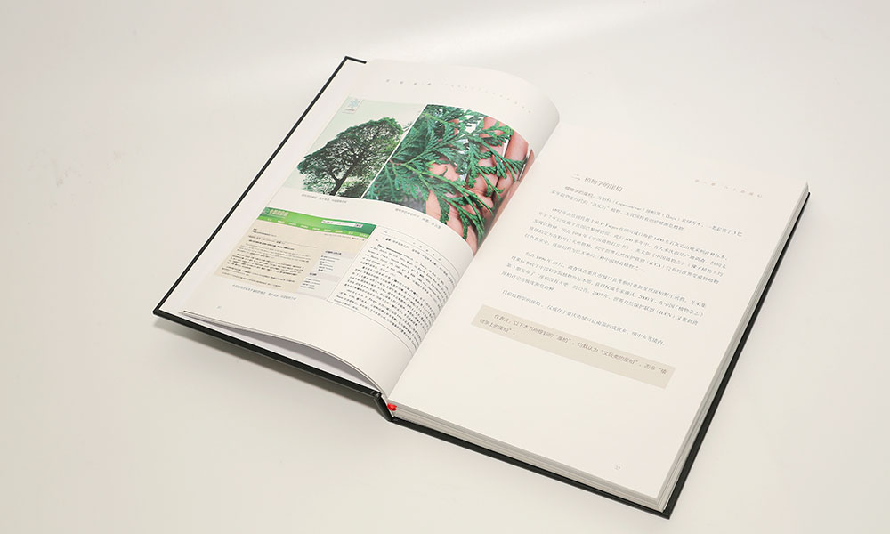 佛珠木雕畫冊(cè)設(shè)計(jì)