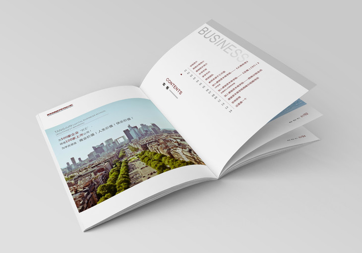 畫冊設(shè)計內(nèi)容有什么？ 讓大家更了解這個行業(yè)