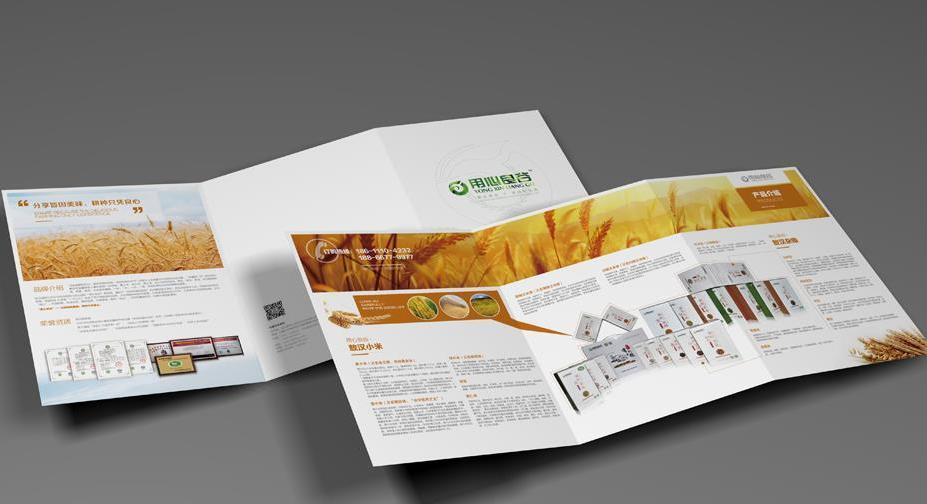 畫(huà)冊(cè)折頁(yè)設(shè)計(jì)