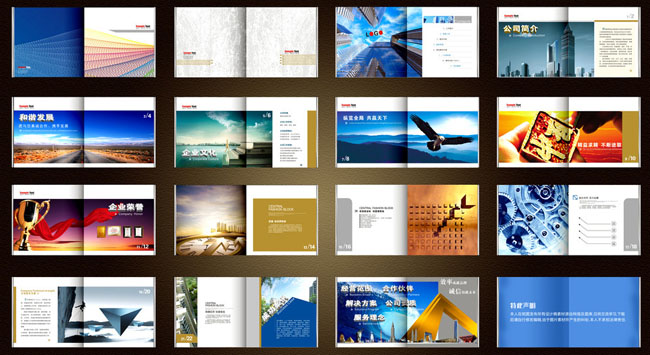 文化公司畫(huà)冊(cè)設(shè)計(jì)