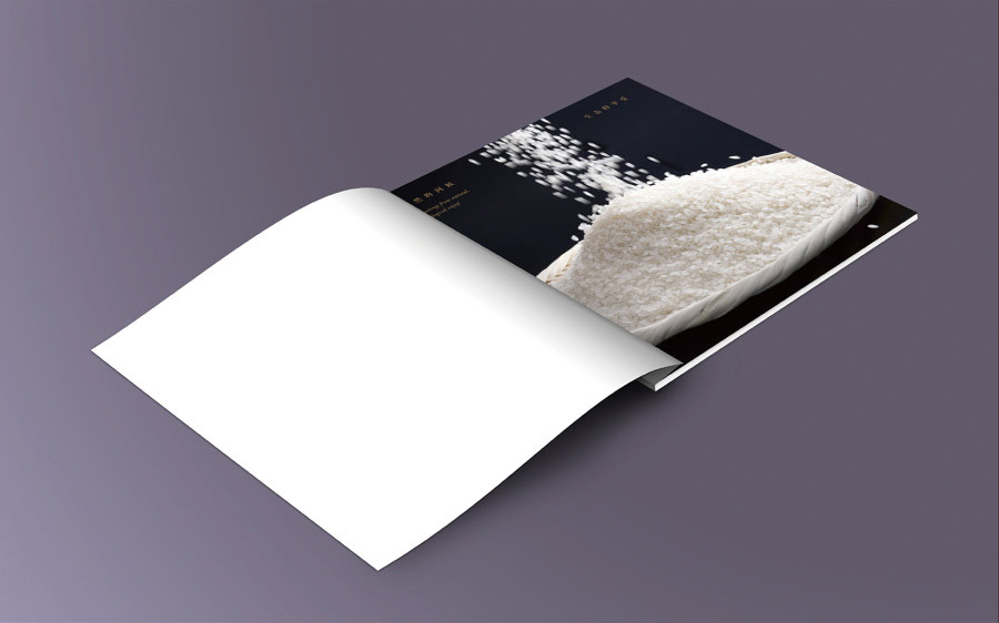 公司產(chǎn)品畫冊(cè)設(shè)計(jì)