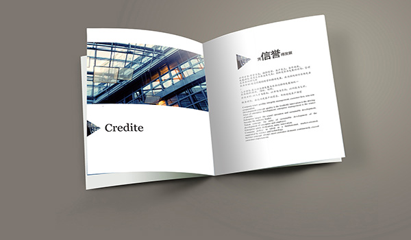 畫海珠企業(yè)畫冊設(shè)計的收費標準是什么？